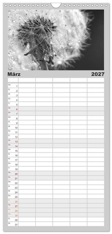 Produktbild: Familienplaner 2027 - Pusteblume - Impressionen in schwarzwei&szlig; mit 5 Spalten (Wandkalender, 21 x 45 cm) CALVENDO