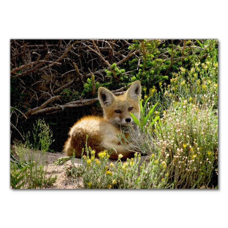 Produktbild: Lais Puzzle Fuchs 1000 Teile