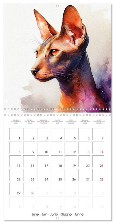 Produktbild: Artistic Cat Breeds (Wall Calendar 2026 12 &times; 12 Inch) CALVENDO 12 Month Wall Calendar