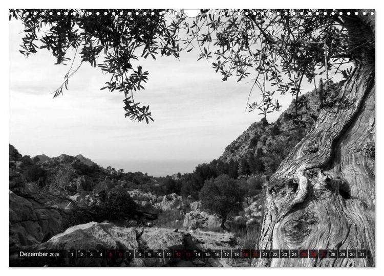 Produktbild: Mallorca monochrom (Wandkalender 2026 DIN A3 quer), CALVENDO Monatskalender
