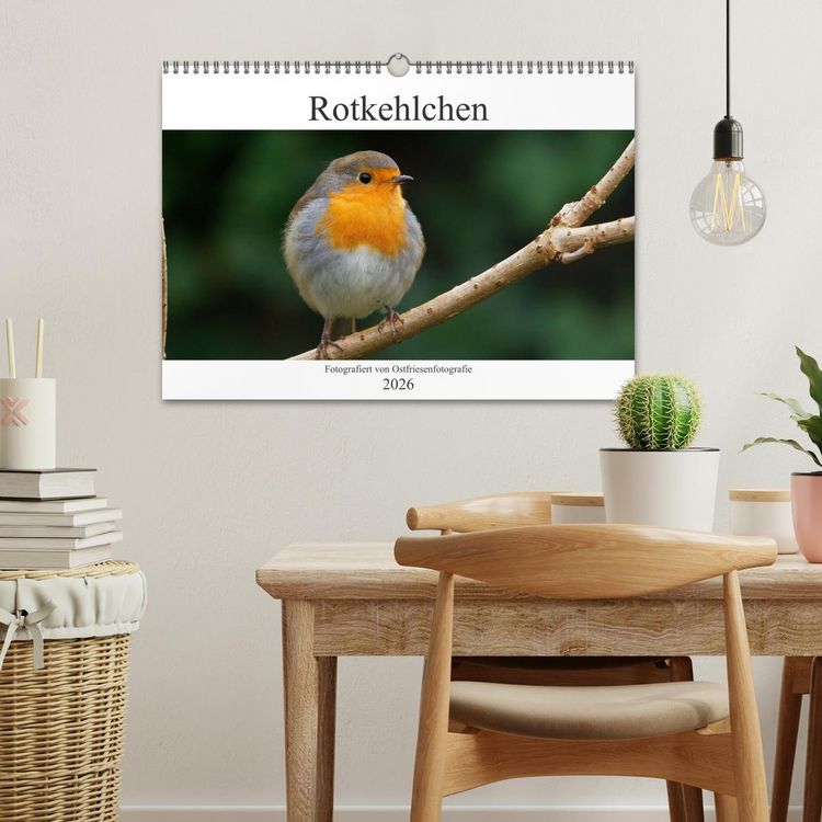 Produktbild: Rotkehlchen - Fotografiert von Ostfriesenfotografie (Wandkalender 2026 DIN A3 quer), CALVENDO Monatskalender