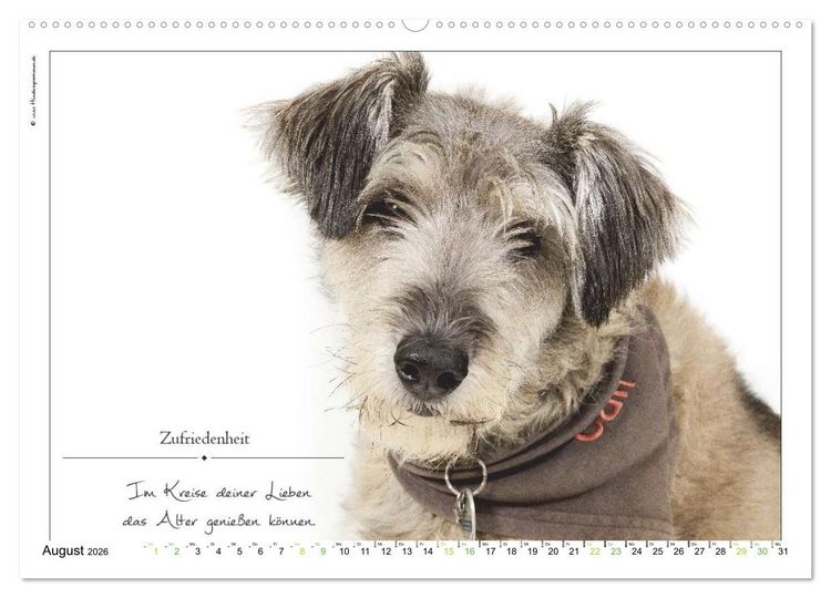 Produktbild: Hunde-Spruchreif (hochwertiger Premium Wandkalender 2026 DIN A2 quer), Kunstdruck in Hochglanz