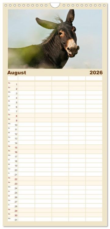 Produktbild: Familienplaner 2026 - Esel - Sixtus Loreley mit 5 Spalten (Wandkalender, 21 x 45 cm) CALVENDO