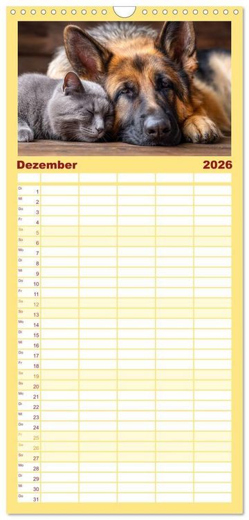 Produktbild: Familienplaner 2026 - Hund und Katze - Tierische Freunde mit 5 Spalten (Wandkalender, 21 x 45 cm) CALVENDO