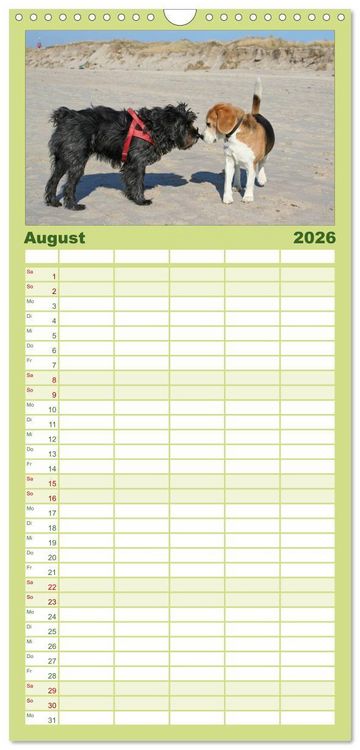 Produktbild: Familienplaner 2026 - DER BEAGLEige TERMINPLANER mit 5 Spalten (Wandkalender, 21 x 45 cm) CALVENDO