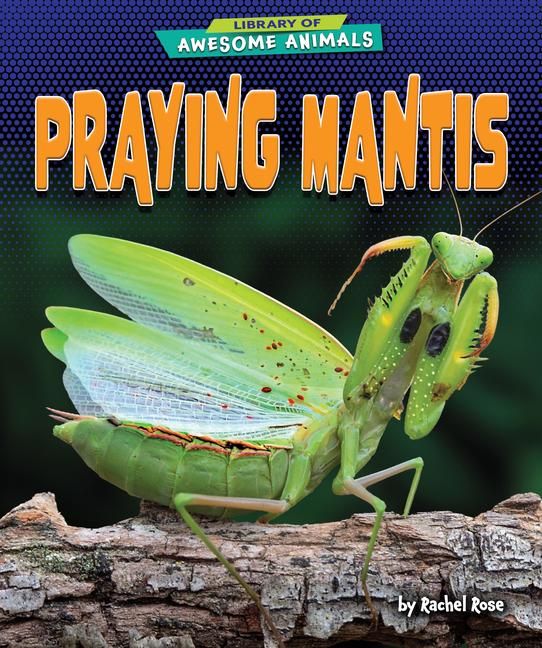 Produktbild: Praying Mantis