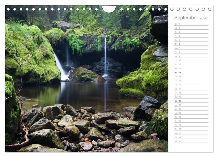 Produktbild: Im Deutschen Wald 2026 - ein Notizkalender (Wandkalender 2026 DIN A4 quer), CALVENDO Monatskalender
