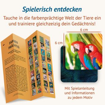 Produktbild: Farbenpr&auml;chtig - Memospiel