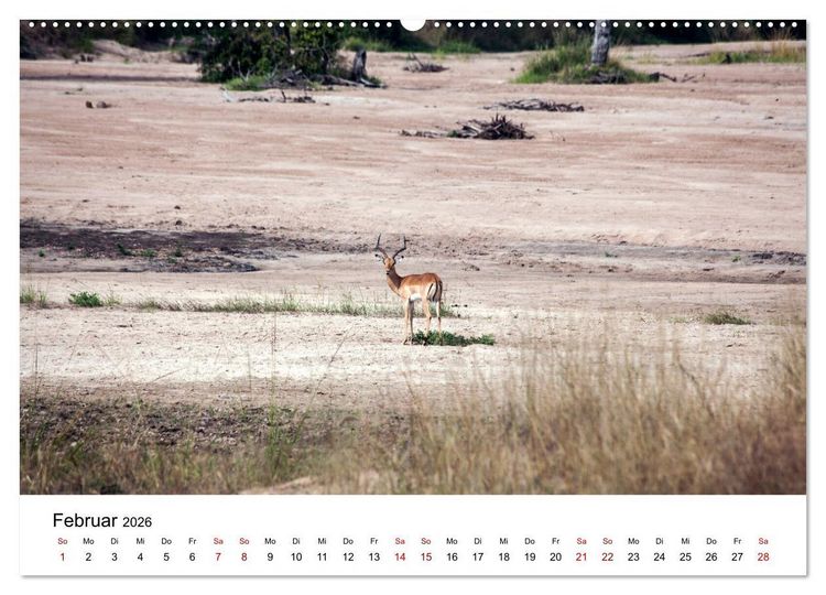 Produktbild: Sambia und der Sambesi (hochwertiger Premium Wandkalender 2026 DIN A2 quer), Kunstdruck in Hochglanz