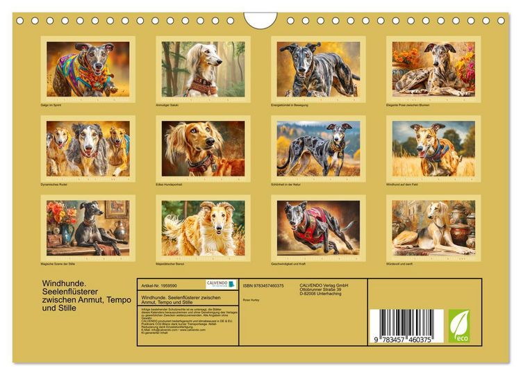 Produktbild: Windhunde. Seelenfl&uuml;sterer zwischen Anmut, Tempo und Stille (Wandkalender 2026 DIN A4 quer), CALVENDO Monatskalender