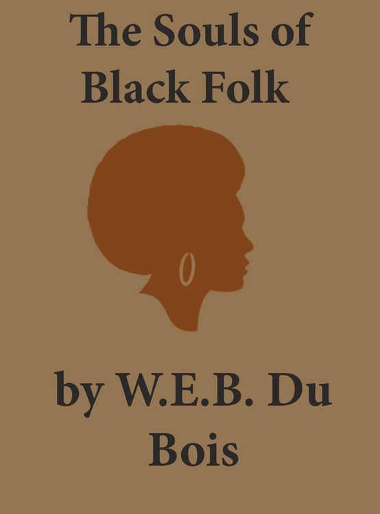 Produktbild: The Souls of Black Folk
