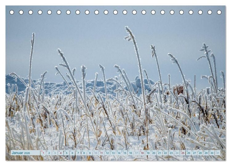 Produktbild: Wildwuchs 2026 (Tischkalender 2026 DIN A5 quer), CALVENDO Monatskalender