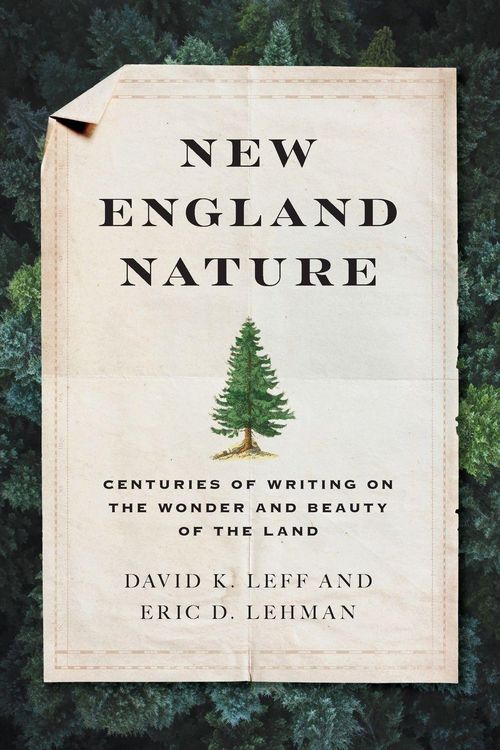 Produktbild: New England Nature