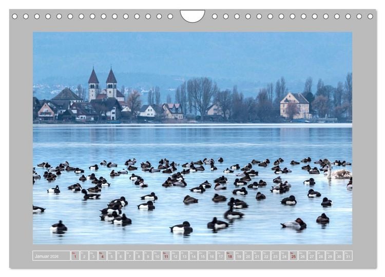 Produktbild: Insel Reichenau - Gr&ouml;&szlig;te Insel im Bodensee (Wandkalender 2026 DIN A4 quer), CALVENDO Monatskalender