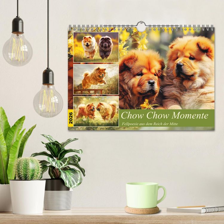 Produktbild: Chow Chow Momente. Fellpoesie aus dem Reich der Mitte (Wandkalender 2026 DIN A4 quer), CALVENDO Monatskalender