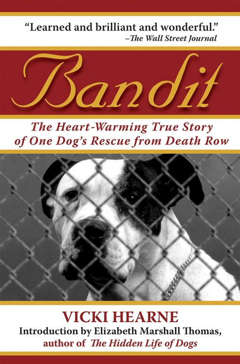 Produktbild: Bandit