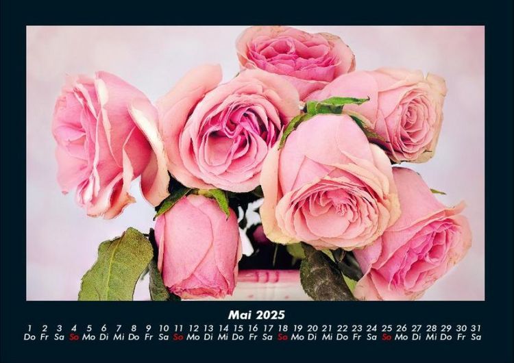 Produktbild: Rosen-Kalender 2025 Fotokalender DIN A4