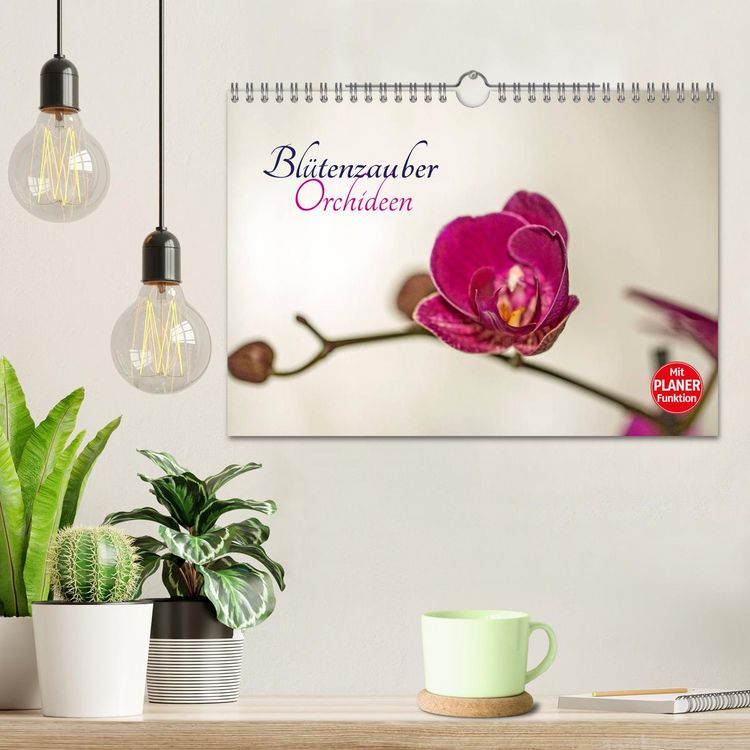 Produktbild: Bl&uuml;tenzauber Orchideen (Wandkalender 2026 DIN A4 quer), CALVENDO Monatskalender