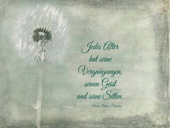 Produktbild: CALVENDO Puzzle Jedes Alter hat seine Reize | 1000 Teile Lege-Gr&ouml;&szlig;e 64x48cm Foto-Puzzle f&uuml;r gl&uuml;ckliche Stunden