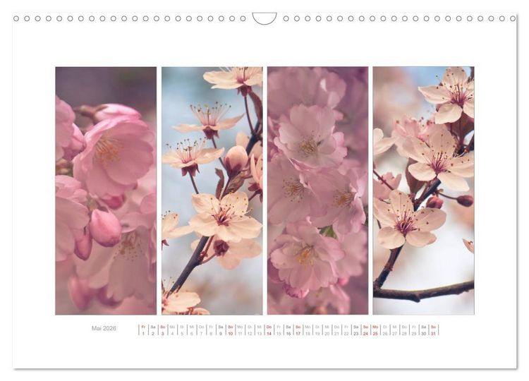 Produktbild: Gartenfreude (Wandkalender 2026 DIN A3 quer), CALVENDO Monatskalender