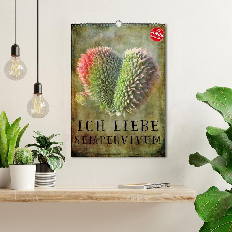 Produktbild: Ich liebe Sempervivum (Wandkalender 2026 DIN A3 hoch), CALVENDO Monatskalender