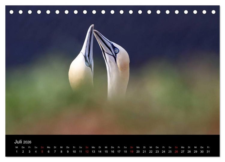Produktbild: Helgoland (Tischkalender 2026 DIN A5 quer), CALVENDO Monatskalender