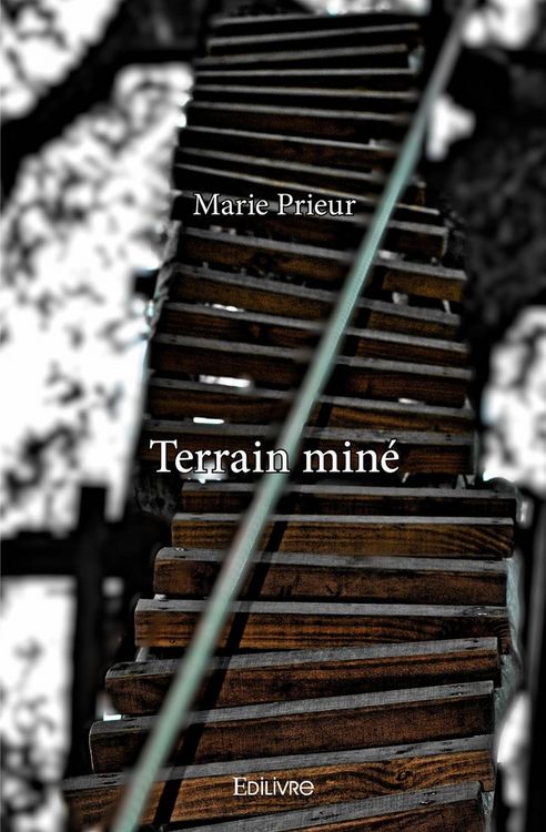 Produktbild: Terrain min&eacute;