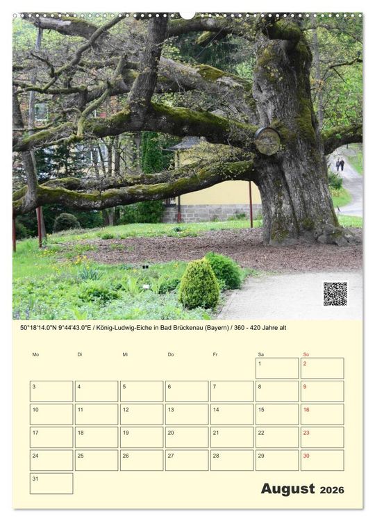 Produktbild: Uralt - Mit QR-Code und GPS zu alten B&auml;umen (hochwertiger Premium Wandkalender 2026 DIN A2 hoch), Kunstdruck in Hochglanz