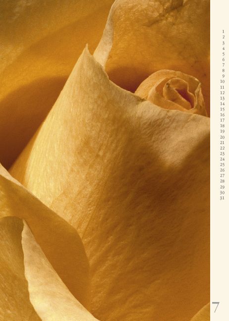 Produktbild: Bl&uuml;tensprache