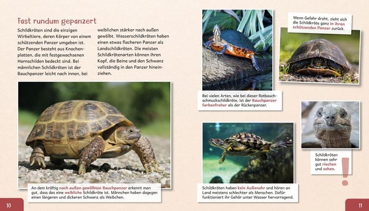 Produktbild: Meine gro&szlig;e Tierbibliothek: Die Schildkr&ouml;te