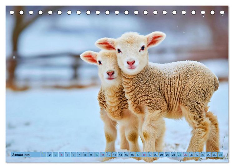 Produktbild: Tierkinder auf dem Land (Tischkalender 2026 DIN A5 quer), CALVENDO Monatskalender