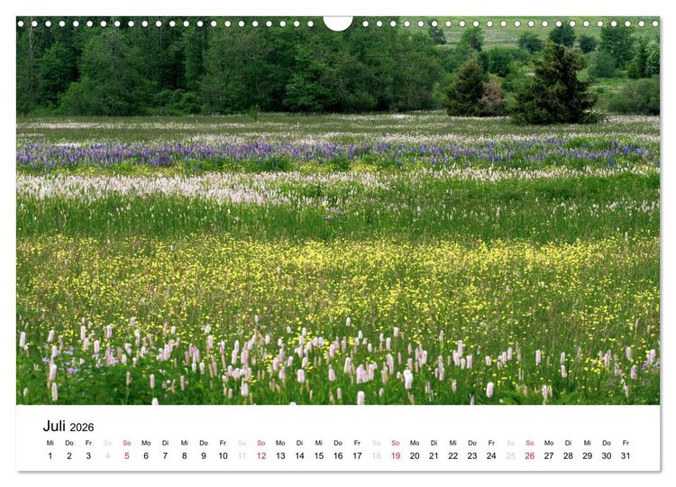 Produktbild: Naturerlebnis im Biosph&auml;renreservat Rh&ouml;n (Wandkalender 2026 DIN A3 quer), CALVENDO Monatskalender
