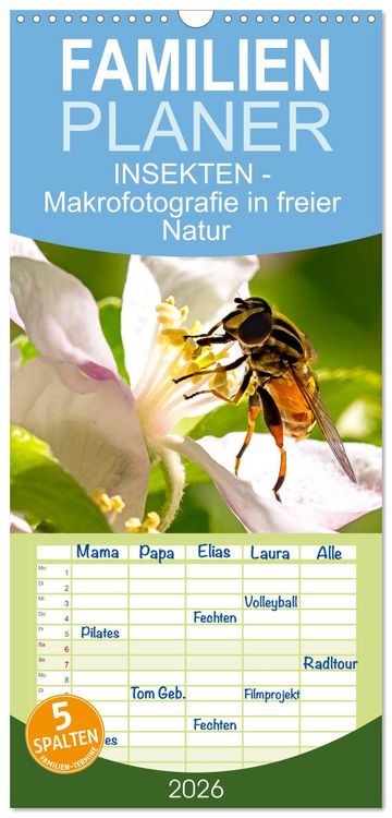 Produktbild: Familienplaner 2026 - INSEKTEN - Makrofotografie in freier Natur mit 5 Spalten (Wandkalender, 21 x 45 cm) CALVENDO