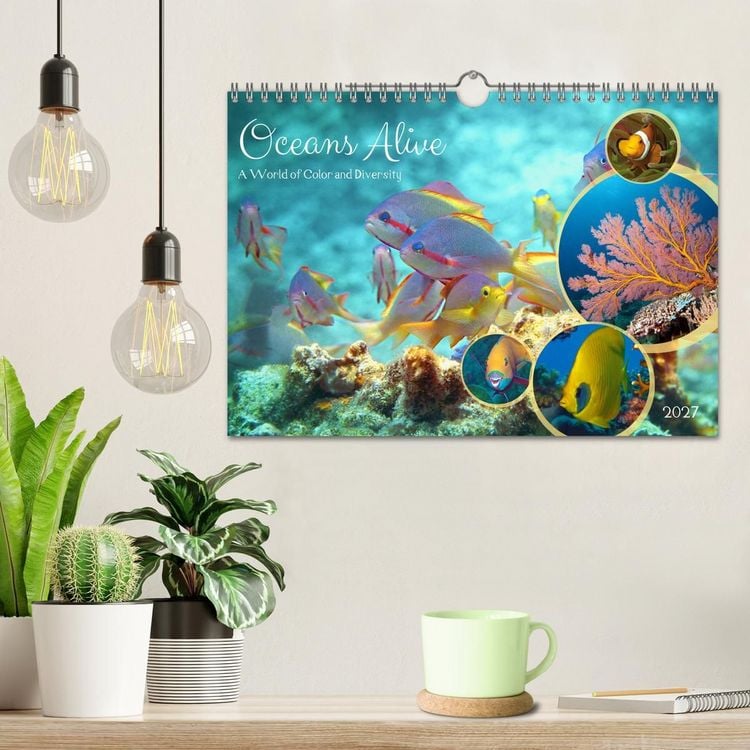 Produktbild: Oceans Alive - A World of Color and Diversity (Wall Calendar 2027 DIN A4 landscape), CALVENDO 12 Month Wall Calendar