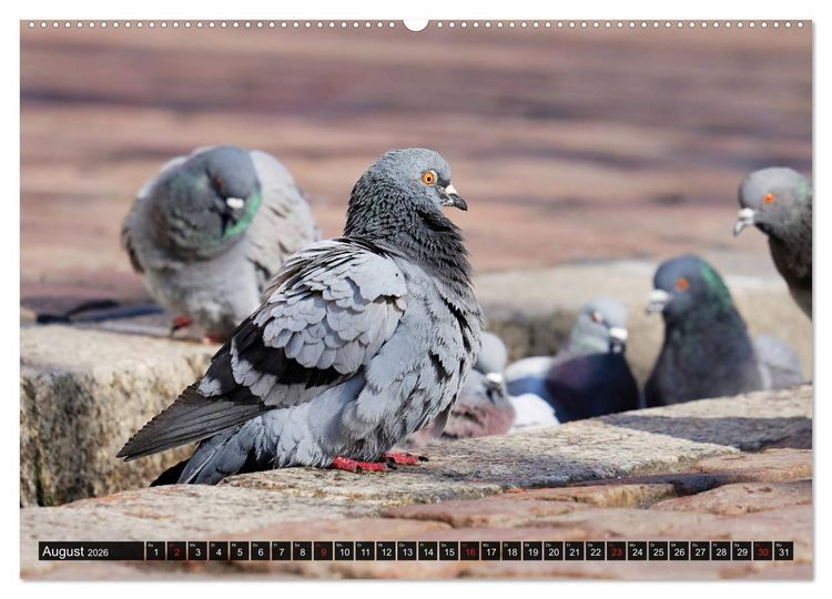 Produktbild: Abneigung und Ekel. Die unbeliebtesten Tiere (Wandkalender 2026 DIN A2 quer), CALVENDO Monatskalender