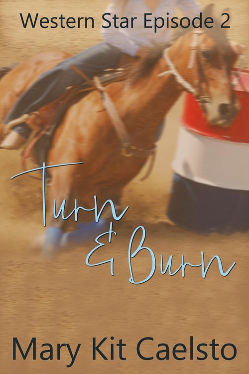 Produktbild: Turn and Burn (Western Star 2)
