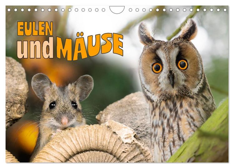 Produktbild: Eulen und M&auml;use (Wandkalender 2026 DIN A4 quer), CALVENDO Monatskalender