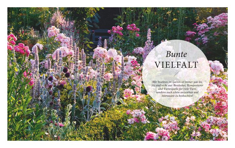 Mein summendes Paradies