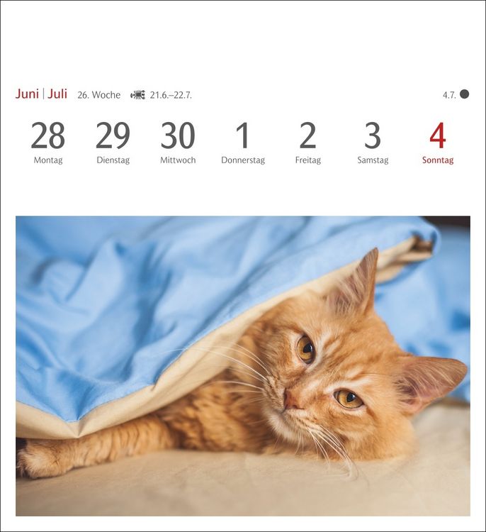 Produktbild: Katzen Postkartenkalender 2027 - Wochenkalender mit 53 Postkarten