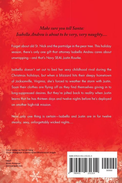 Produktbild: Twelve Wicked Nights