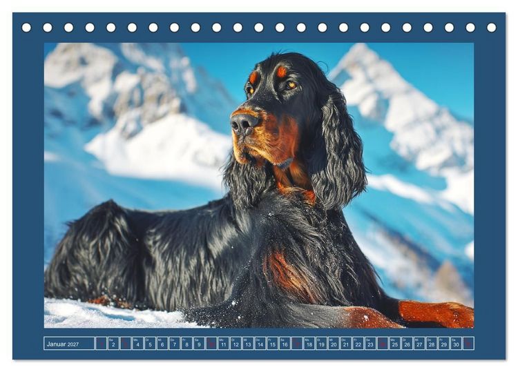 Produktbild: Gordon Setter. Edle Seelen in der Natur (Tischkalender 2027 DIN A5 quer), CALVENDO Monatskalender
