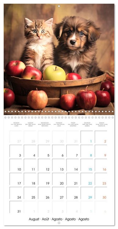 Produktbild: Mignon duo (Calendrier mural carr&eacute; 2026 30x30 cm) Calendrier double avec une page pour vos prises de notes
