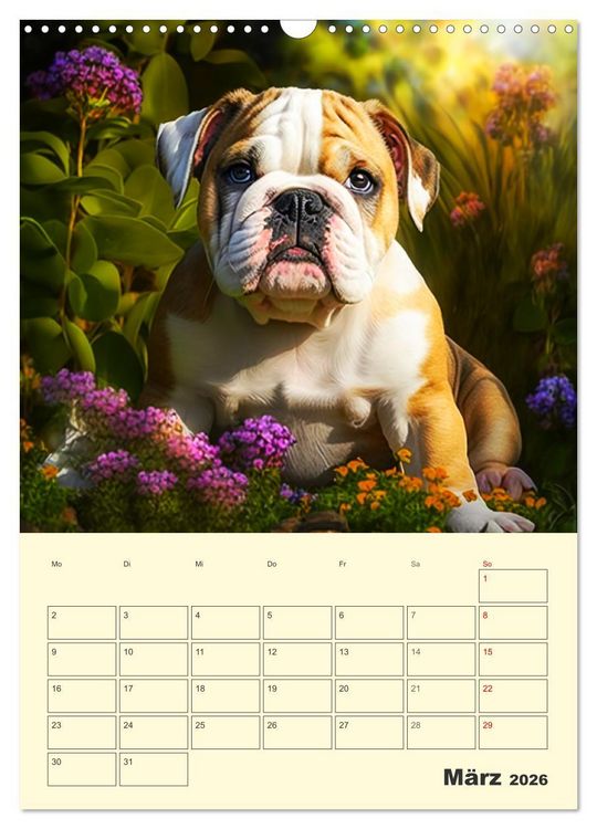 Produktbild: English Bulldogs. Fr&ouml;hliche Dickk&ouml;pfe mit Charakter (Wandkalender 2026 DIN A3 hoch), CALVENDO Monatskalender