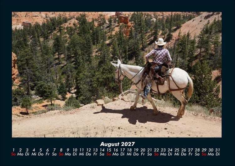 Produktbild: Die Welt der Pferde 2027 Fotokalender DIN A4