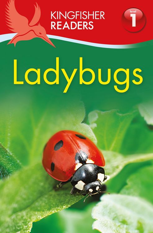 Produktbild: Kingfisher Readers: Ladybirds (Level 1: Beginning to Read)