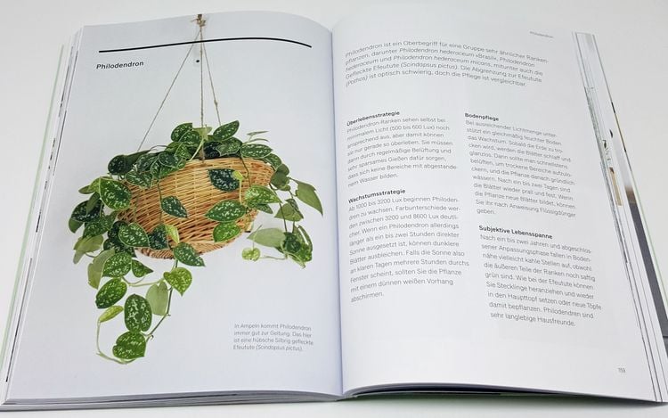 Produktbild: Gr&uuml;nes Zuhause