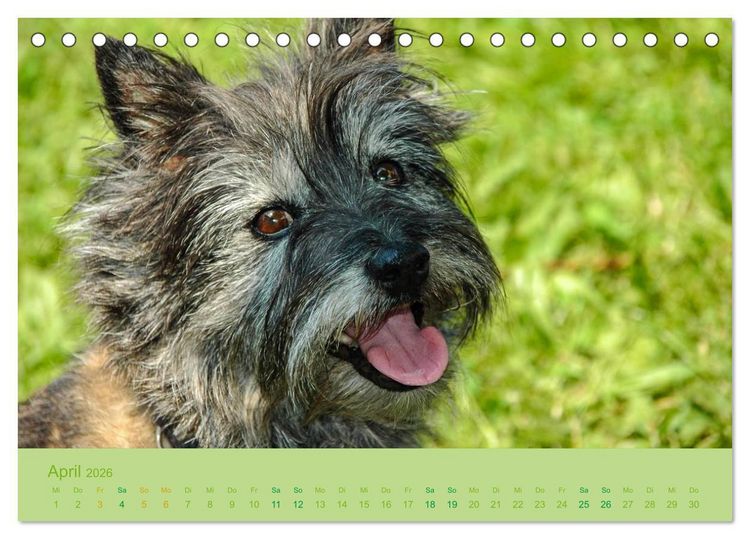 Produktbild: Cairns Forever (Tischkalender 2026 DIN A5 quer), CALVENDO Monatskalender