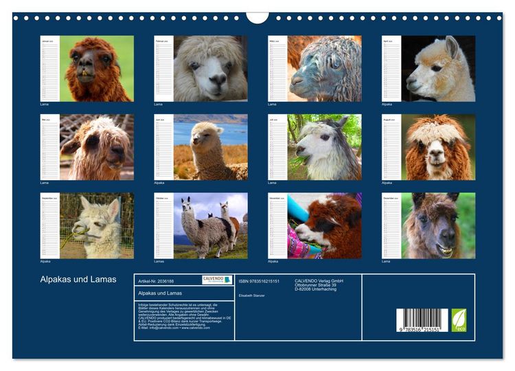 Produktbild: Alpakas und Lamas (Wandkalender 2026 DIN A3 quer), CALVENDO Monatskalender