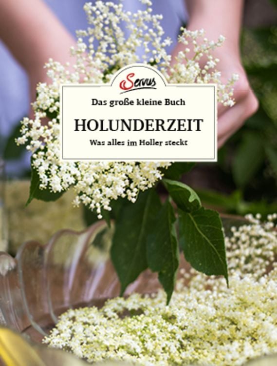 Produktbild: Das große kleine Buch: Holunderzeit
