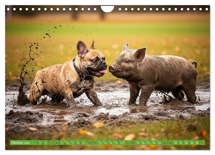 Produktbild: Muddi Buddies &ndash; Freundschaft im Matsch (Wandkalender 2026 DIN A4 quer), CALVENDO Monatskalender